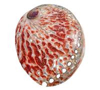 Conchiglie naturali, Conchiglie Jumbo da 11-15 cm perfette for decorazioni di nozze, feste a tema sulla spiaggia, for la casa(12~13cm)