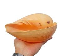 Conchiglie naturali di ricambio, Conchiglie da 4 a 7 pollici for decorazioni fai da te for feste a tema spiaggia, acquari, piante aeree(D)