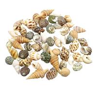 Conchiglie naturali di ricambio, Conchiglie di ricambio for granchi eremiti, piccole e medie, decorazione for acquari, diverse misure(A)
