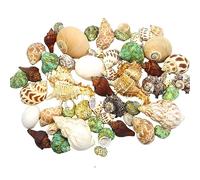 Conchiglie naturali di ricambio, Conchiglie di ricambio for granchi eremiti, piccole e medie, decorazione for acquari, diverse misure(D)