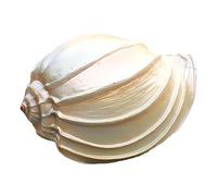 Conchiglie naturali di ricambio, Decorazione a conchiglia di diverse dimensioni for acquario, casa, spiaggia, decorazioni fai da te(A)