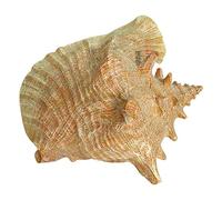 Conchiglie naturali di ricambio, Ornamento di conchiglia in resina simulata, diverse dimensioni, multicolore(B)