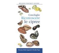 Conchiglie. Riconoscere le cipree