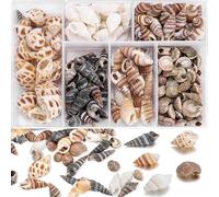 Conchiglie Spirale,100 Pezzi Mini Conchiglie a Spirale,Conchiglia Senza Foro Non Lavorate Conchiglia Accessori da Spiaggia per Vaso Fille Beach Festa A Tema Fai da Te(6 Stili)