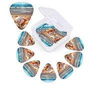 Conchiglie sulla spiaggia sabbiosa. Plettri per chitarra, confezione da 12, con scatola organizer, 3 diversi spessori, inclusi plettri sottili, medi e pesanti.