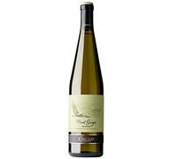 Concilio Pinot Grigio Trentino D.O.C. - 750 ml