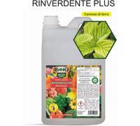 Concime a base di ferro liquido a tripla azione, Nutre, Ravviva e Protegge 5 kg