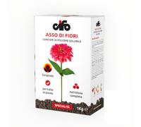 Concime Asso di fiori KG 1 Cifo