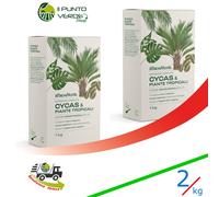 Concime CYCAS PALME e PIANTE TROPICALI da 1 Kg minerale NPK 12.7.5 PROMO