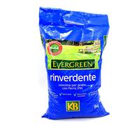 CONCIME FERTILIZZANTE RINVERDENTE EVERGREEN GRANULARE 5/15 Kg.