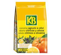 CONCIME GRANULARE 'AGRUMI/OLIVI' Gr. 800