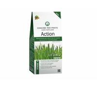 CONCIME PER PRATO ACTION STAGE 2 MANTENITMENTO DEL PRATO 4 KG AMDGarden