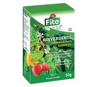 CONCIME GRANULARE 'RINVERDENTE' gr 50
