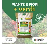 CONCIME GRANULARE UNIVERSALE 5 Kg PER USO QUOTIDIANO PIANTE E FIORI PIU' VERDI