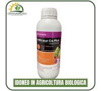 CONCIME LIQUIDO A-MICSUR CA PLUS PROBELTE CON CALCIO E MICROELEMENTI ESSENZIALI