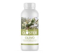 Concime Liquido concentrato per Olivo con Azoto Rame Fosforo e Potassio 1 Litro