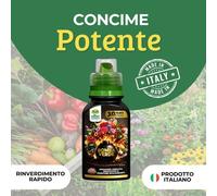 CONCIME LIQUIDO SUPERPREMIUM BOMBA VERDE 250 g ( 2 PEZZI da 250 g)