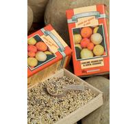 Concime per agrumi "Chicchi di Sole" Oscar Tintori Vivai 500 gr. / 2 kg.