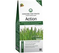 CONCIME PER PRATO ACTION STAGE 2 MANTENITMENTO DEL PRATO 4 KG AMDGarden