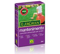 CONCIME PER PRATO EVERGREEN 2KG. CONCIME PER MANTENIMENTO PRATO VERDE E GIARDINO