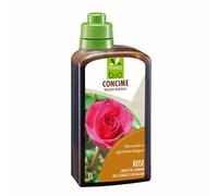 Concime per rose