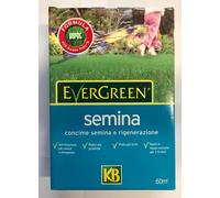 CONCIME PER TAPPETO ERBOSO KG. 2 'EVERGREEN SEMINA' NPK 16-25-12