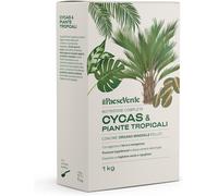 Concime Piante Verdi Tropicali 1Kg - Fertilizzante Naturale per Cycas Con Azoto