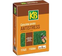 CONCIME PRATO ANTISTRESS 2 KG KB EVERGREEN RINFORZA PRATO