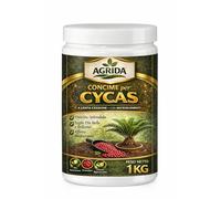 Concime Professionale per Cycas 1KG - Fertilizzante Granulare a Lenta Cessione con Microelementi - Nutrizione Completa per Foglie Forti, Verdi e Brillanti - Formula Premium ad Alta Performance - Confe