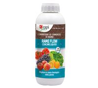 CONCIME RAME ZOLFO FLOW ZAPI KG 1 LIQUIDO CON MANGANESE VITE ORTO