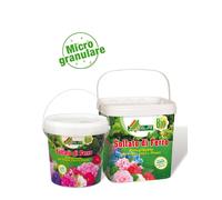 Concime RINVERDENTE ANTIMUSCHIO Solfato di Ferro 5 kg in Secchio ALFE