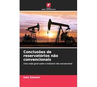 Conclusões de reservatórios não convencionais: Uma visão geral sobre a indústria não convencional