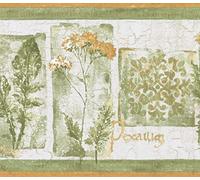 Concord Wallcoverings - Carta da parati con bordo in stile vintage, motivo floreale con foglie di parole, per cucina, sala da pranzo, camera da letto, soggiorno, stanza in polvere, verde, crema, oro, 20 cm x 15 piedi UL105033