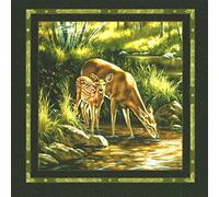 CONCORD WALLCOVERINGS - Carta da parati con motivo animale, orsi, lupi, cervi, volpi, per camera da letto dei bambini, sala giochi, verde, marrone, giallo, grigio, 221B44307