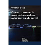 Concorso esterno in associazione mafiosa: a che serve, a chi serve?