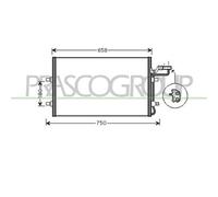 PRASCO VV220C002 Condensatore climatizzatore