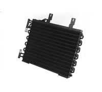 AVA COOLING SYSTEMS BW5147 Condensatore climatizzatore