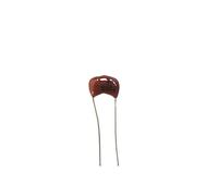 Condensatori di mica d'argento 1PCS utilizzati nei prodotti di fascia alta Amplificatore for chitarra 63V 100V 500V Condensatore d'argento radiale for amplificatore audio Elementi di accumulo di energ