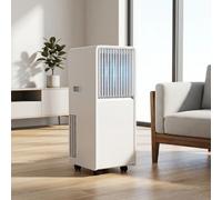 Condizionatore d'aria portatile 12000 BTU con modalità raffreddamento, deumidificatore e ventilatore, telecomando, kit finestra, nessuna parete necessaria per stanza ufficio