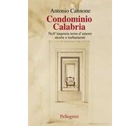 Condominio Calabria. Nell'inquieta terra d'amore, morte e turbamenti