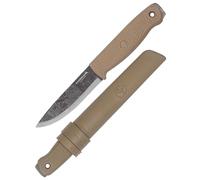 Condor - CD63846 - TERRASAUR DÉSERT