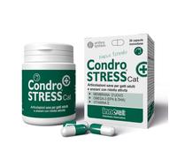 Condostress Condrostress Cat 30 Capsule Monodose