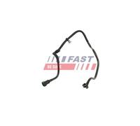 FAST FT00976 Condotto carburante