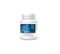 CONDRACTIV 40CPR