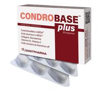 CONDROBASE PLUS 30 COMPRESSE