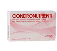 CONDRONUTRIENTI integratore per il benessere articolare 36 compresse