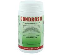 CONDROSIL 60CPS EURONATUR