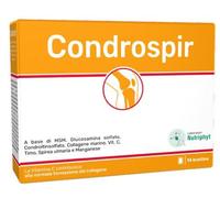 CONDROSPIR 14 Bust.