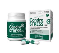 CONDROSTRESS + CAT 30CPS