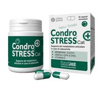 Condrostress + Cat Innovet 30 Capsule